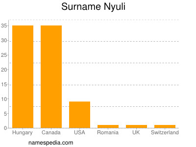 Familiennamen Nyuli