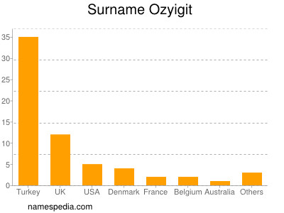 Familiennamen Ozyigit