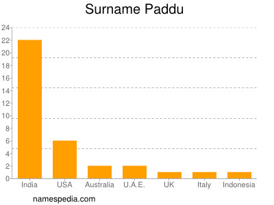 Familiennamen Paddu