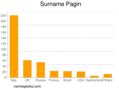 Surname Pagin