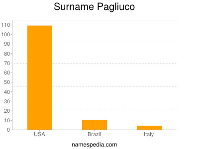 Familiennamen Pagliuco