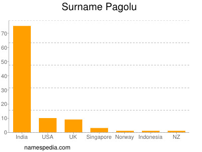 Familiennamen Pagolu