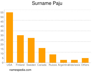 Familiennamen Paju