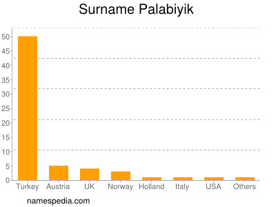 Familiennamen Palabiyik