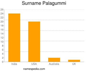 Surname Palagummi