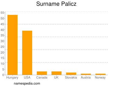 Familiennamen Palicz