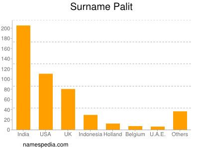 Familiennamen Palit