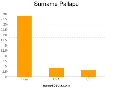 Familiennamen Pallapu
