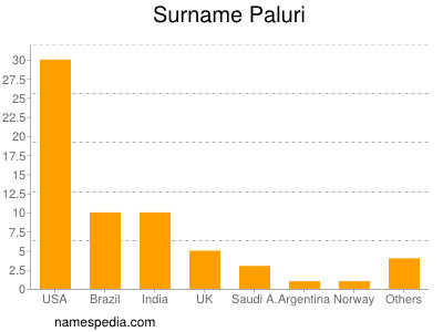 Surname Paluri