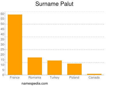 Familiennamen Palut