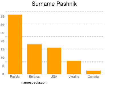 Familiennamen Pashnik