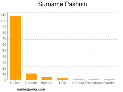 Familiennamen Pashnin