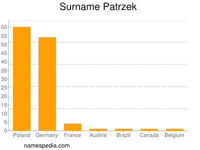 Surname Patrzek