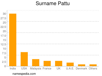 Familiennamen Pattu