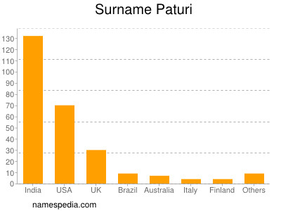 Familiennamen Paturi