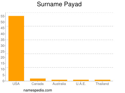 Familiennamen Payad