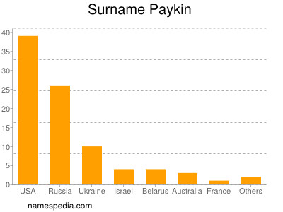 Familiennamen Paykin