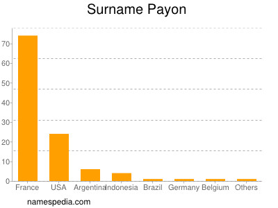 Familiennamen Payon