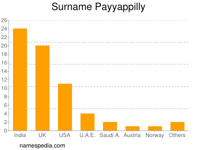 Familiennamen Payyappilly