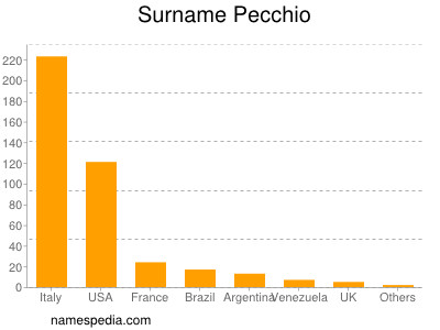 Surname Pecchio