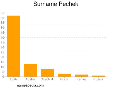Familiennamen Pechek
