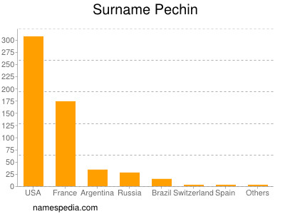 Familiennamen Pechin