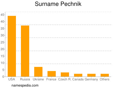 Familiennamen Pechnik