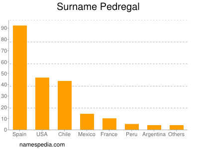 Familiennamen Pedregal