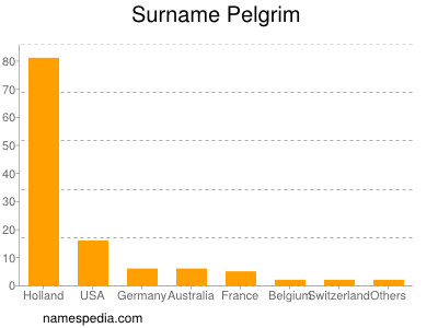 Surname Pelgrim