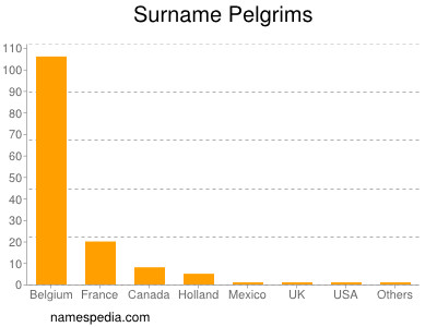 Surname Pelgrims