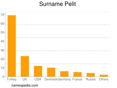 Surname Pelit