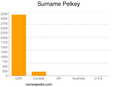 Familiennamen Pelkey