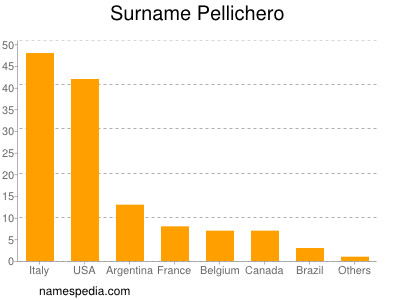 Familiennamen Pellichero