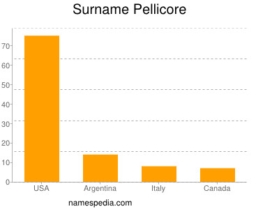 Familiennamen Pellicore