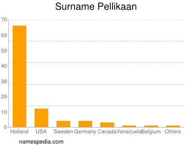 Familiennamen Pellikaan