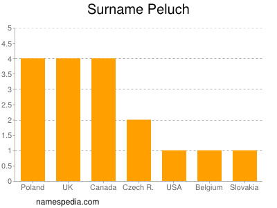 Surname Peluch