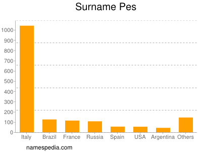 Surname Pes