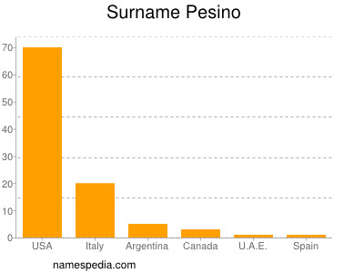 Familiennamen Pesino