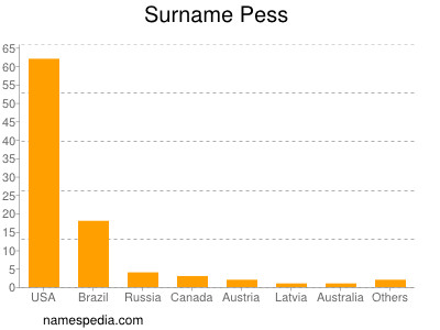 Surname Pess