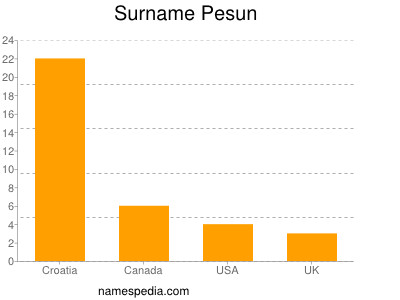 Familiennamen Pesun