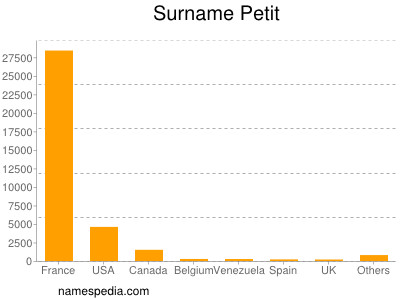 Familiennamen Petit