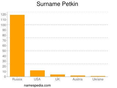 Familiennamen Petkin