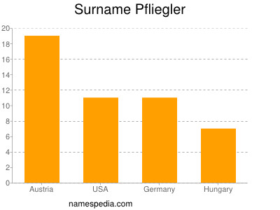 Surname Pfliegler