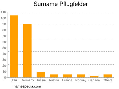 Surname Pflugfelder