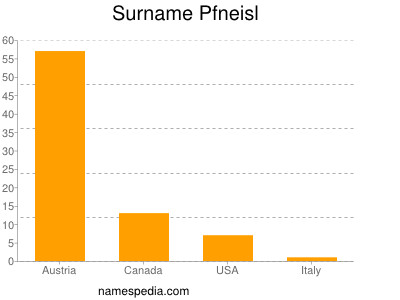 Surname Pfneisl