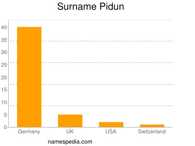 Familiennamen Pidun