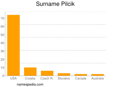 Familiennamen Pilcik