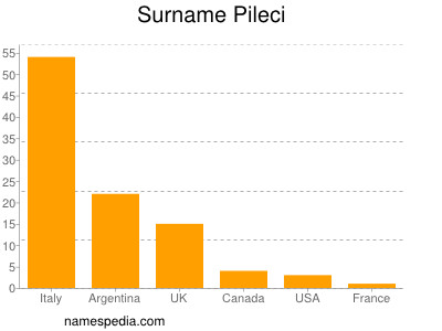 Familiennamen Pileci