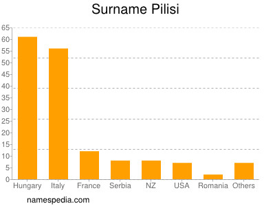 Familiennamen Pilisi