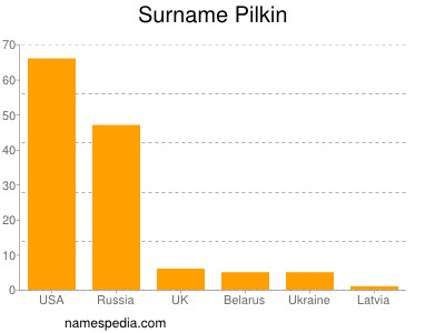 Familiennamen Pilkin